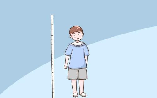 超声波快活视频IOS污版APP下载生活水平提高了孩子长高的关键期是哪几个